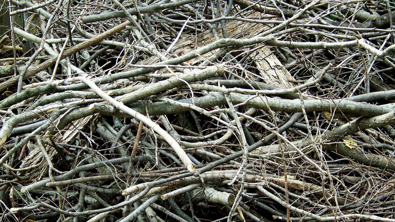 Modification au service de collecte des branches à Saint-Charles-Borromée
