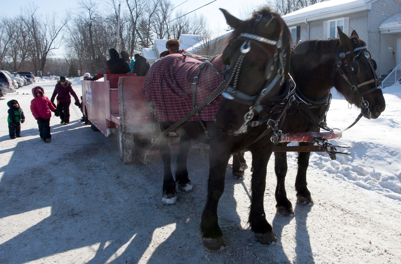 Le Carnaval d'hiver réchauffe le cœur des citoyens de Rosemère