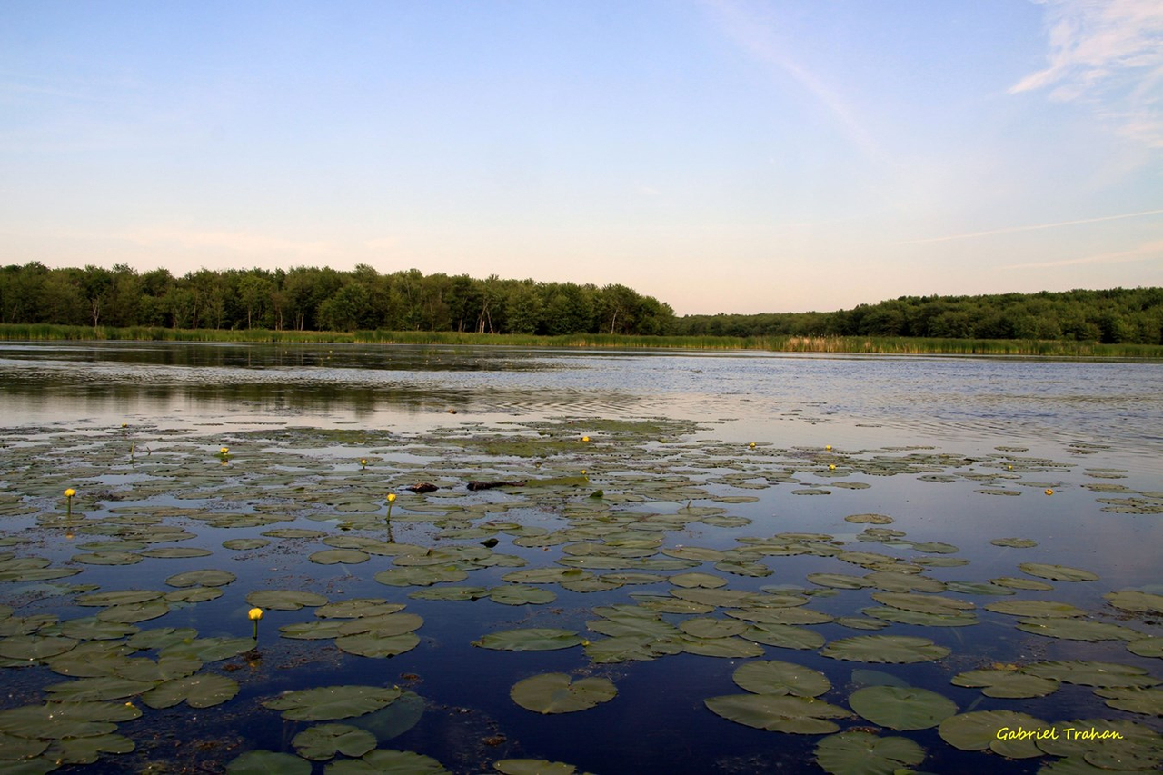 La direction de santé publique des Laurentides entérine les mesures déployées par la Sépaq pour la réouverture du parc national d’Oka