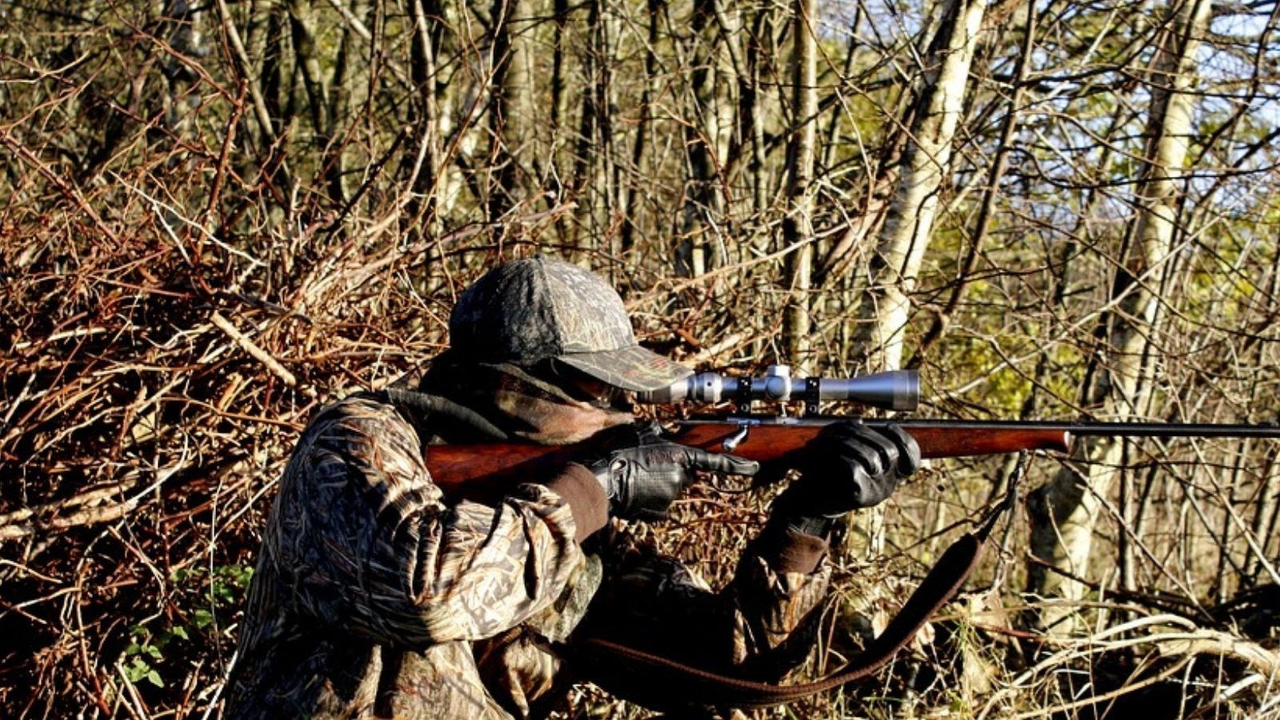 Chasse et piégeage : Québec reconduit l’enregistrement en ligne du gibier