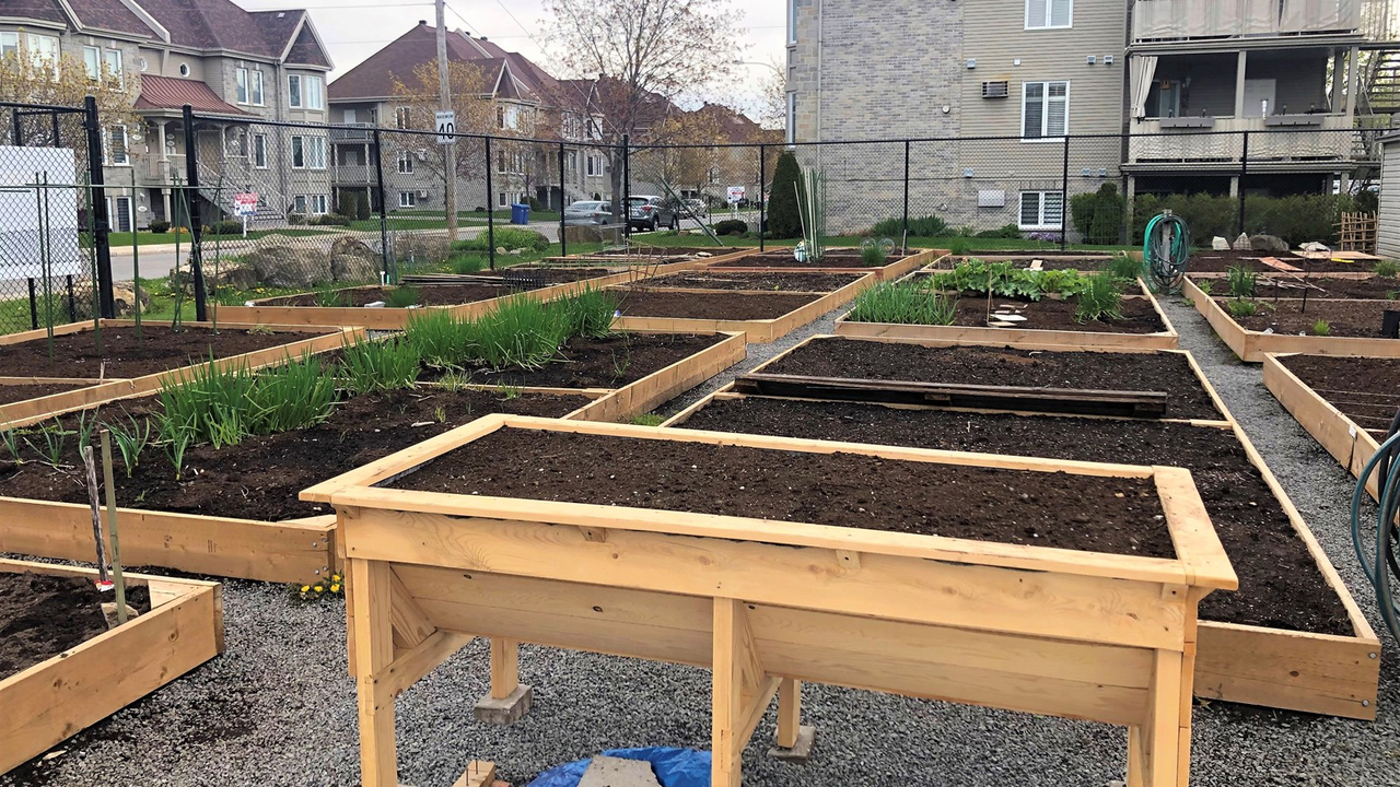 Un jardinet pour les personnes à mobilité réduite au jardin communautaire Le Boisé à Sainte-Thérèse