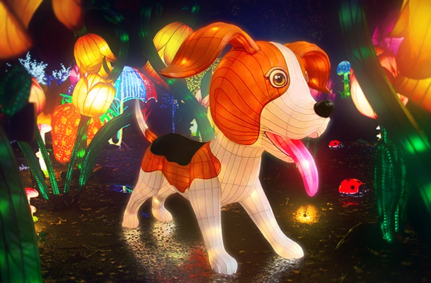 Illumi poursuit son aventure tout en lumière du 22 juin au 6 août