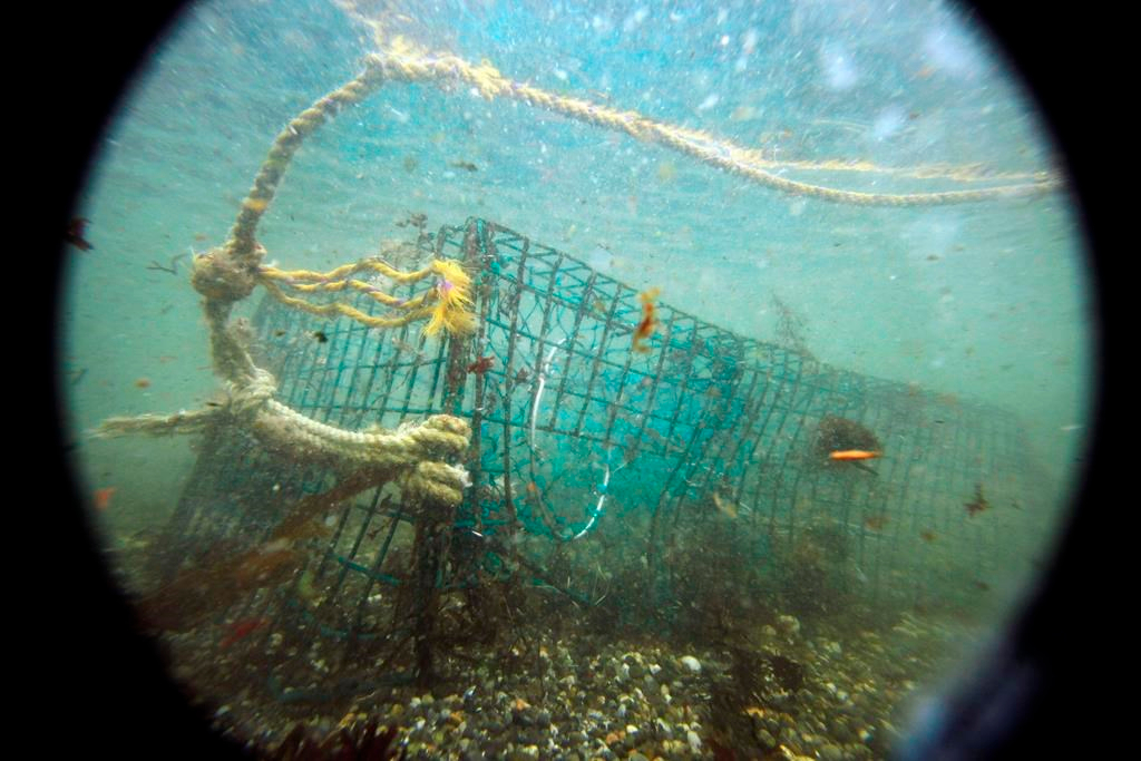 Les engins de pêche perdus et abandonnés sont nuisibles à l'écosystème marin