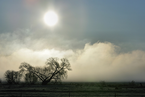 Matin brumeux