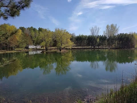 paysage