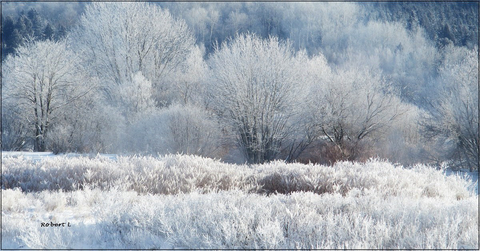 Paysage