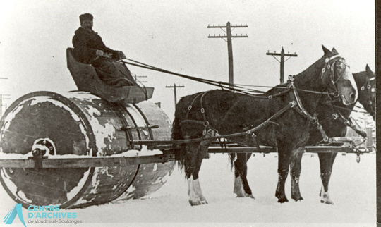 La neige : blancheur du paysage hivernal québécois