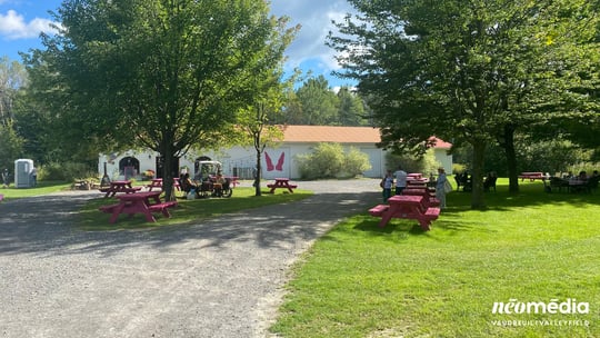 Une 1ère édition de Vendanges et Vibes au vignoble Côte de Vaudreuil