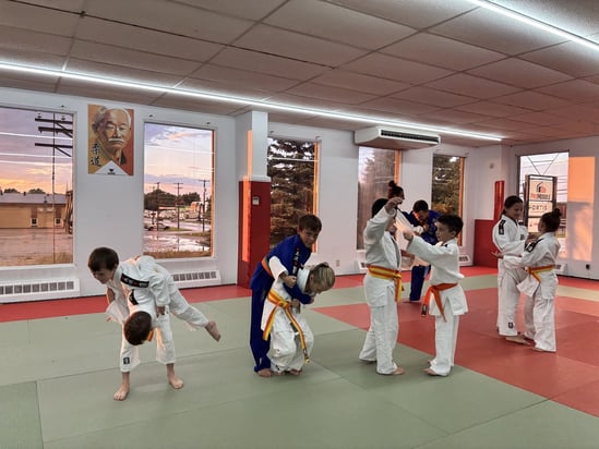 Le Club DOJO Domaine-du-Roy de Saint-Prime déménage