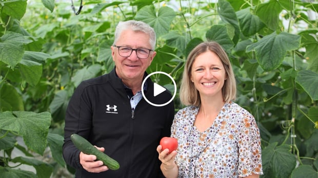 L'organisme «Cultiver pour partager» double ses dons de légumes frais