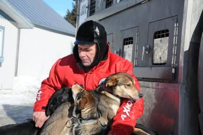 Un musher québécois se rend en Alaska pour se mesurer aux meilleurs