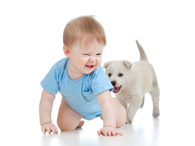 Comment préparer son chien à l’arrivée de bébé