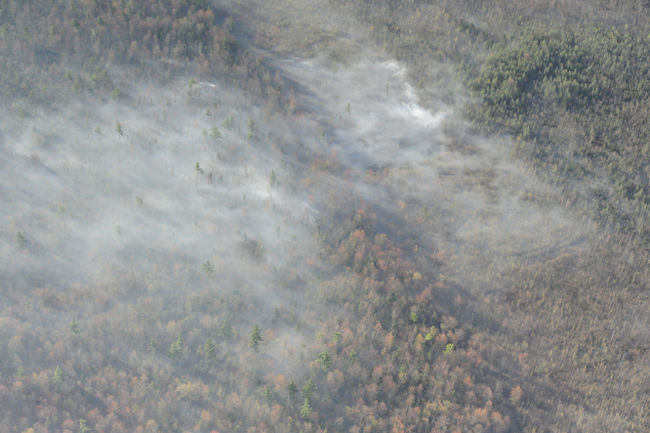 Un feu de forêt ravage huit hectares