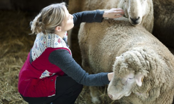 Des activités pour tous