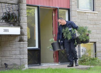 L'immeuble entier servait à la culture de cannabis