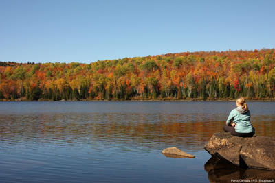 Parc de la Mauricie : des activités hautes en couleurs
