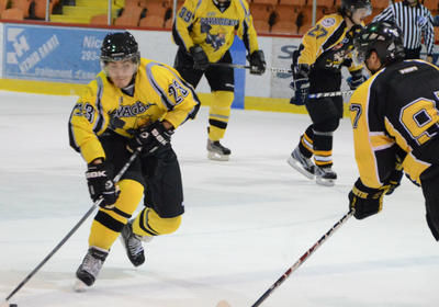 Une coupe Memorial québécoise pour le hockey senior