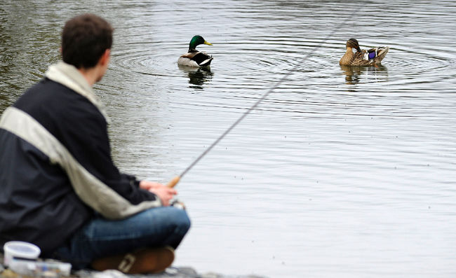 Les pêcheurs du Lac St-Pierre passent à l’attaque