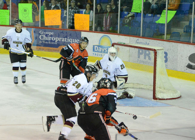 Les Stingers n'ont pas fait le poids