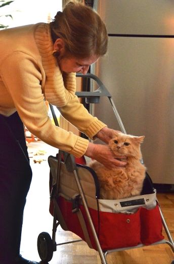 « Sans assurance, je n’aurais pas pu garder mes animaux »
