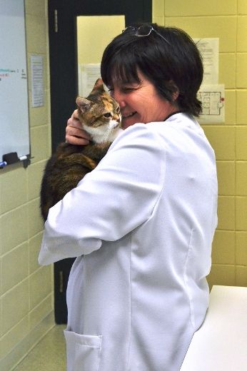 Une police pour chats et chiens