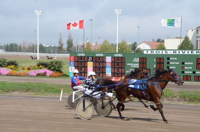 Du nouveau à l’hippodrome cet été