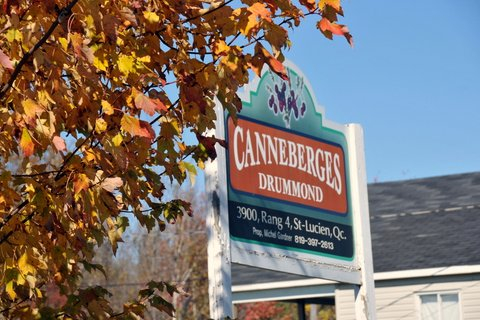 C'est le temps de la canneberge