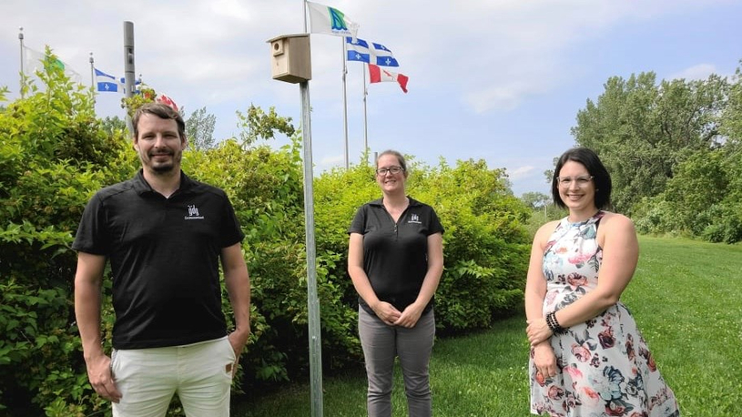 Cinquante nichoirs installés à Trois-Rivières pour préserver l’hirondelle bicolore