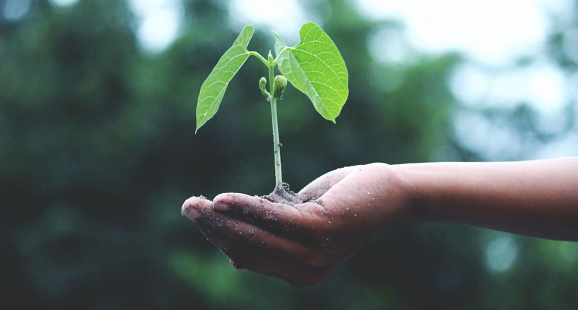 Des nouveaux outils offerts aux PME d’ici pour réduire leur empreinte environnementale