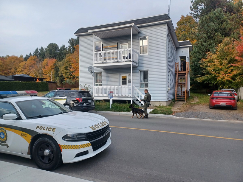 Deux arrestations pour trafic de stupéfiants dans le secteur de Grand-Mère