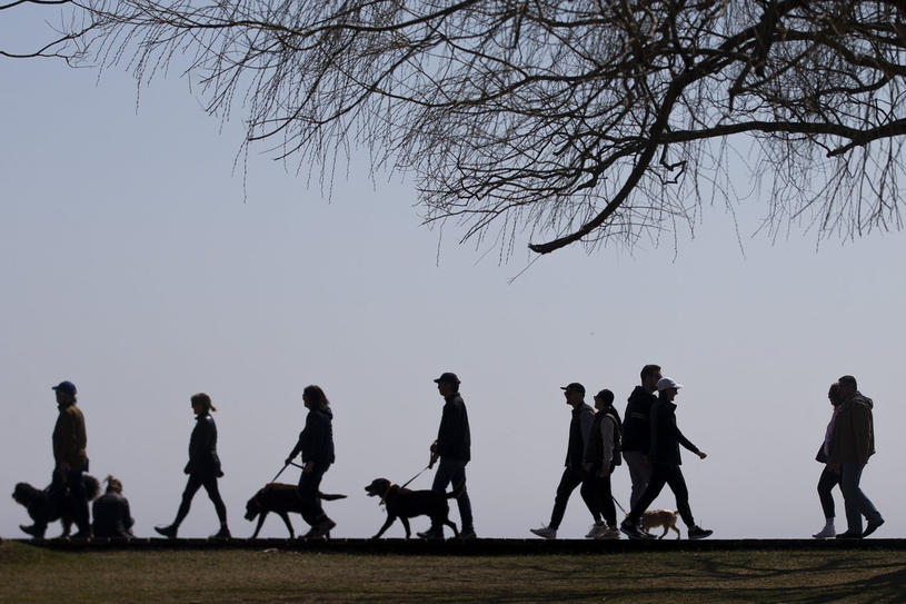 La population canadienne est estimée à 41,5 millions de personnes