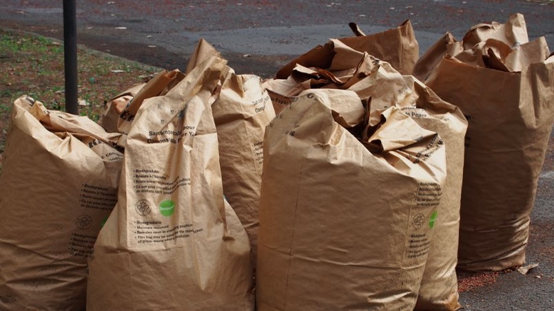 Collecte spéciale de feuilles mortes et de résidus verts à Shawinigan