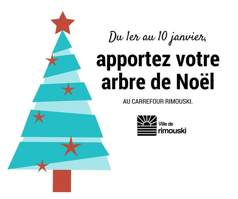 Récupération des arbres de Noël 