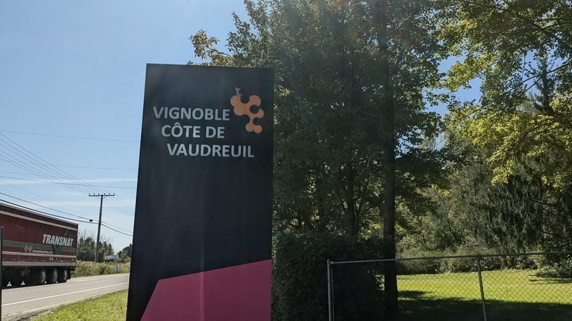 Une soirée-bénéfice pour supporter financièrement une jeune femme malade 