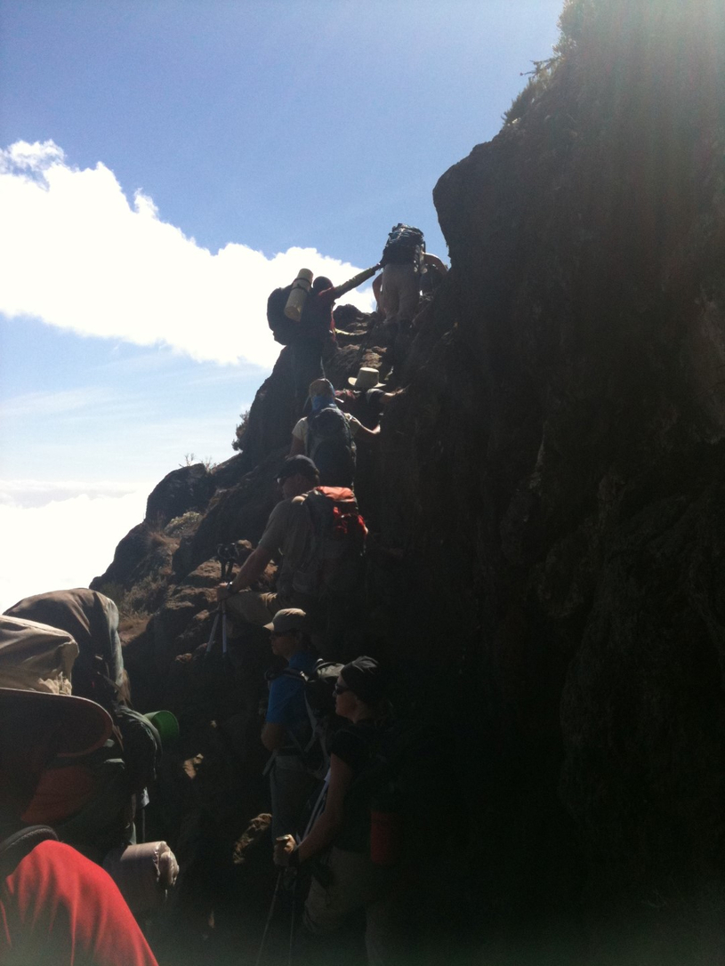 Le doyen du Kilimandjaro