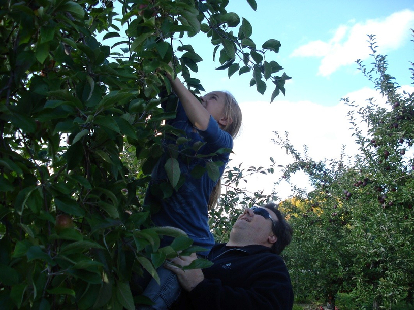 Une belle occasion de tomber dans les pommes