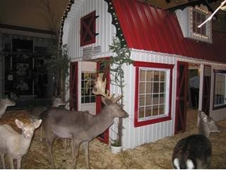 Les rennes du père Noël feront un arrêt à la Place Chambly
