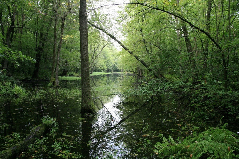 2069 signatures pour protéger l'écosystème du bassin de Chambly