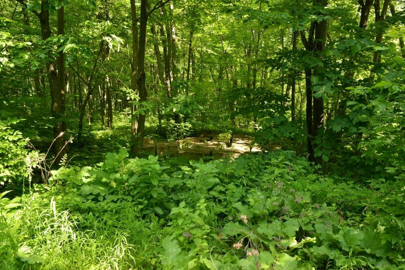 Île au Foin : Québec accepte la voie d'accès