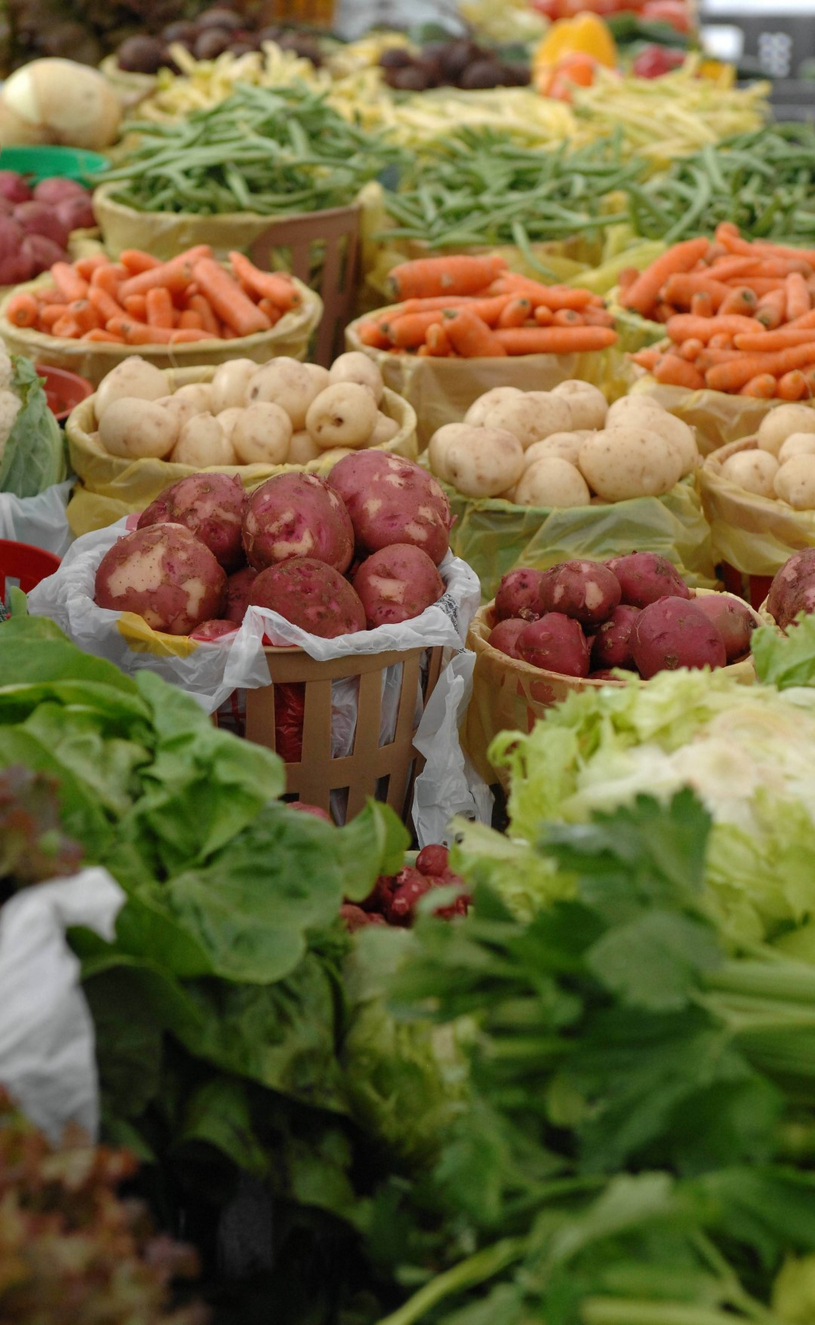Carignan lance un concours d'initiatives santé