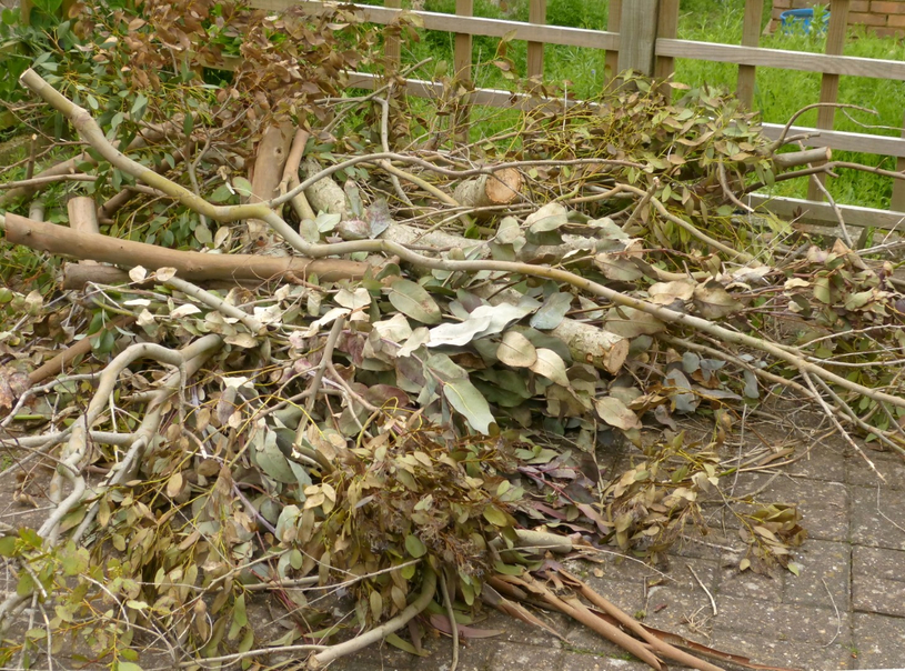 Collecte de branches samedi