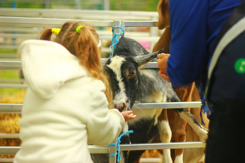C'est parti pour la fête d'automne à Richelieu!