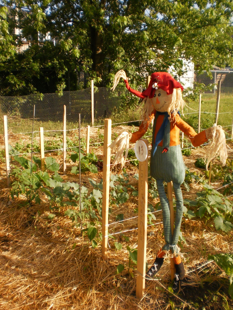 Cultiver ses propres légumes
