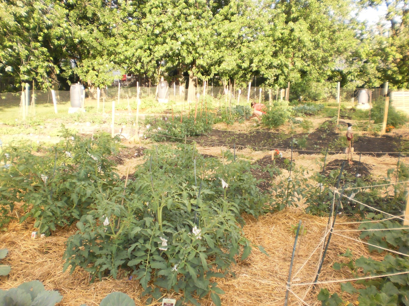Inscriptions pour les jardins communautaires