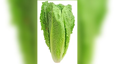 Il est maintenant sécuritaire de manger de la laitue romaine