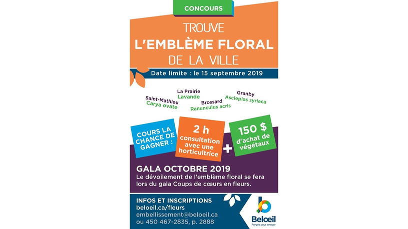 Trouvez l’emblème floral de la Ville de Beloeil