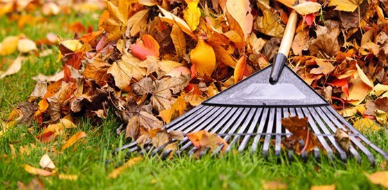 Quatre collectes de feuilles mortes prévues à Carignan cet automne