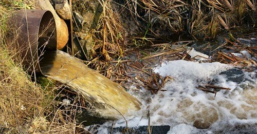Eaux usées : le CRE lutte pour un grand chantier de l'eau propre au Québec