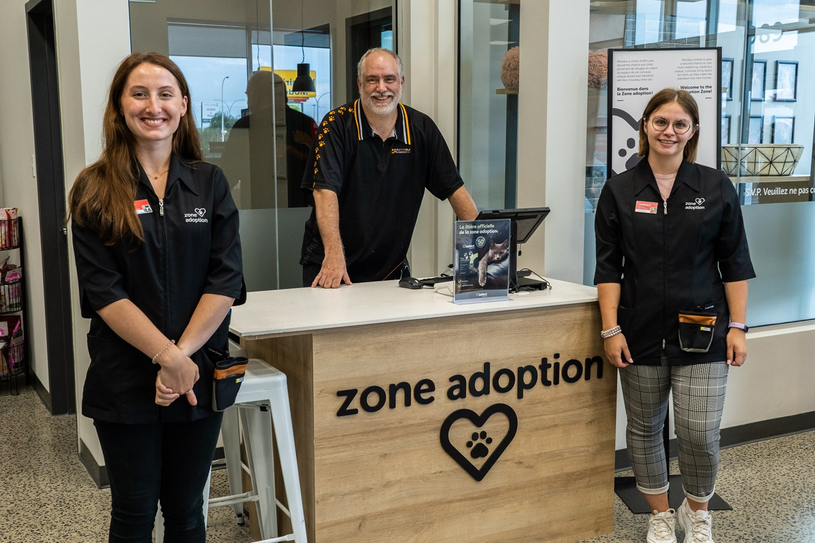 Saint-Jean-sur-Richelieu: Mondou inaugure une zone d'adoption pour chats de refuges