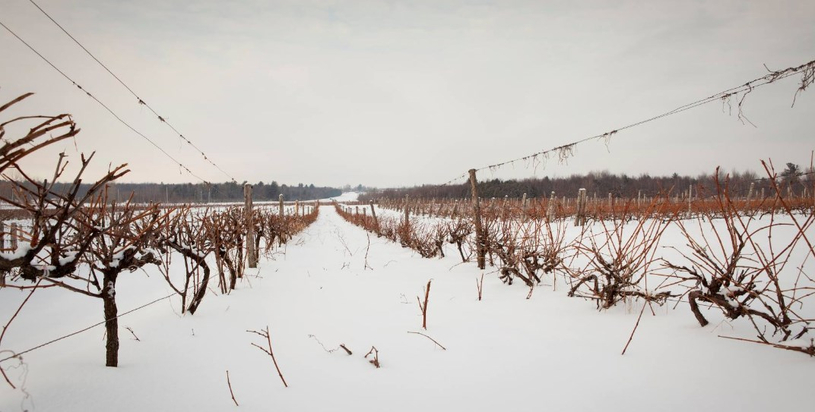 Formation pour les productrices agricoles : s'informer pour se protéger